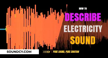 Capturing the Buzz: Describing the Unique Sounds of Electricity
