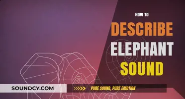 Unraveling the Majestic Trumpet: How to Describe an Elephant's Unique Sound