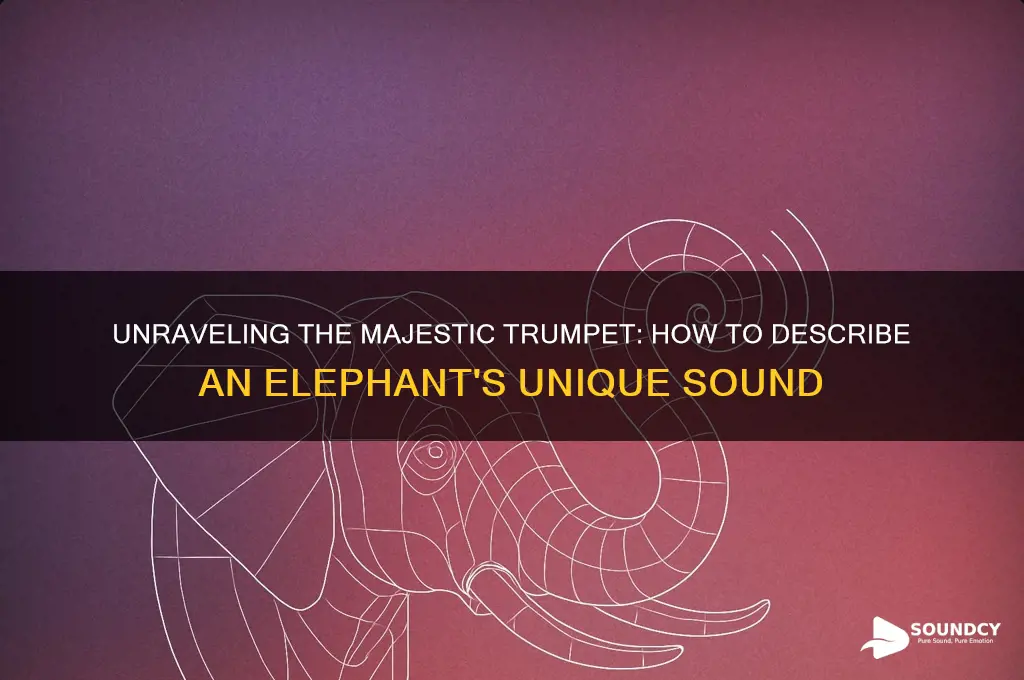 how to describe elephant sound