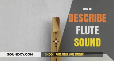 Capturing the Ethereal Essence: Describing the Unique Sound of the Flute
