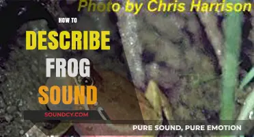 Decoding the Ribbit: A Guide to Describing Frog Sounds Accurately