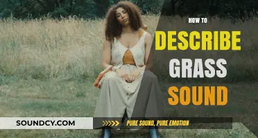 Whispers of the Lawn: Capturing the Subtle Sounds of Grass
