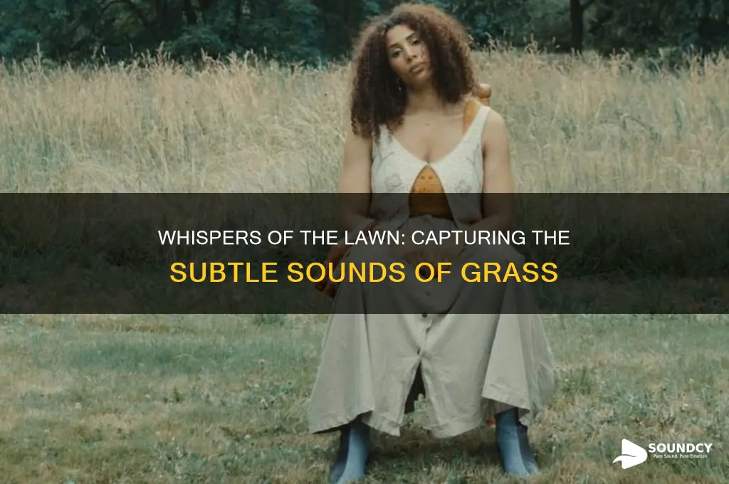 how to describe grass sound