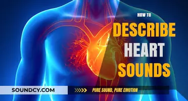 Mastering Heart Sound Descriptions: A Comprehensive Guide for Medical Professionals