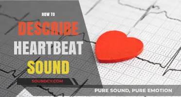 Understanding the Rhythm: How to Describe the Heartbeat Sound Accurately