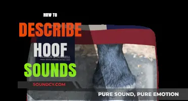Mastering the Art of Describing Hoof Sounds: A Creative Guide