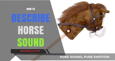 Understanding Horse Sounds: A Guide to Describing Equine Vocalizations