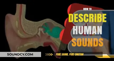 Mastering the Art of Describing Human Sounds: A Comprehensive Guide