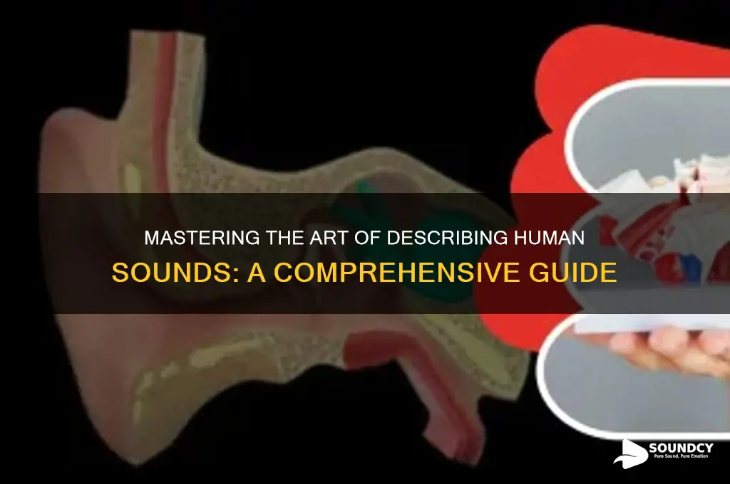 how to describe human sounds