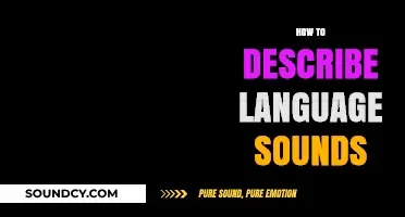 Mastering Phonetics: A Comprehensive Guide to Describing Language Sounds