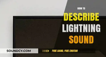 Capturing the Thunder: How to Describe Lightning's Unique Sonic Signature