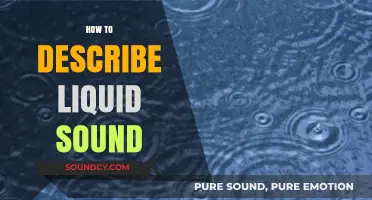 Capturing the Essence of Liquid Sound: A Descriptive Guide
