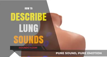 Mastering Lung Sound Descriptions: A Comprehensive Guide for Healthcare Professionals
