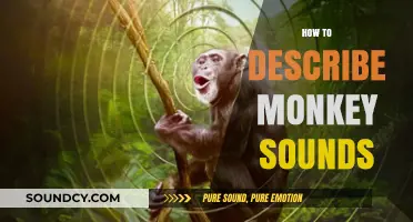 Unraveling the Jungle Symphony: Decoding and Describing Monkey Sounds