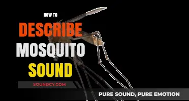 Decoding the Buzz: How to Describe the Unique Mosquito Sound