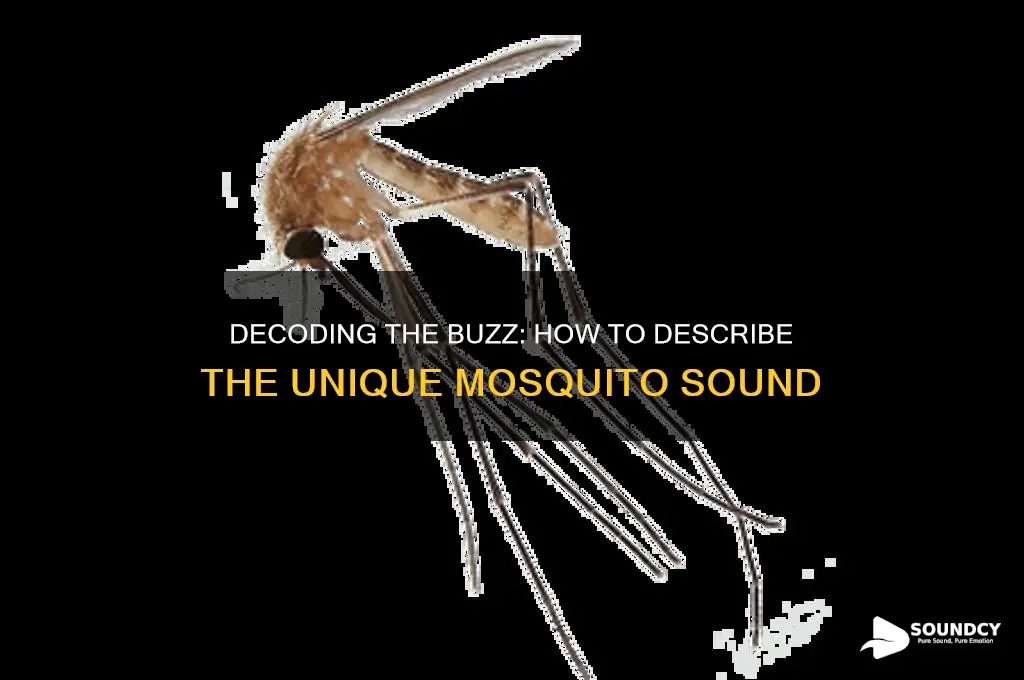 how to describe mosquito sound