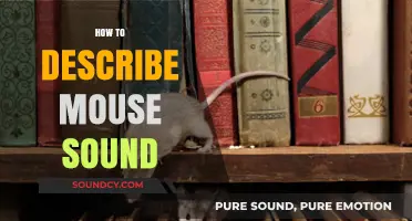 Understanding Mouse Sounds: A Guide to Describing Their Unique Vocalizations