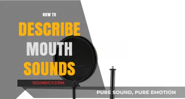 Mastering Mouth Sounds: A Guide to Describing Vocal Nuances