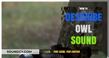 Unraveling the Mystical Hoots: How to Describe an Owl's Sound