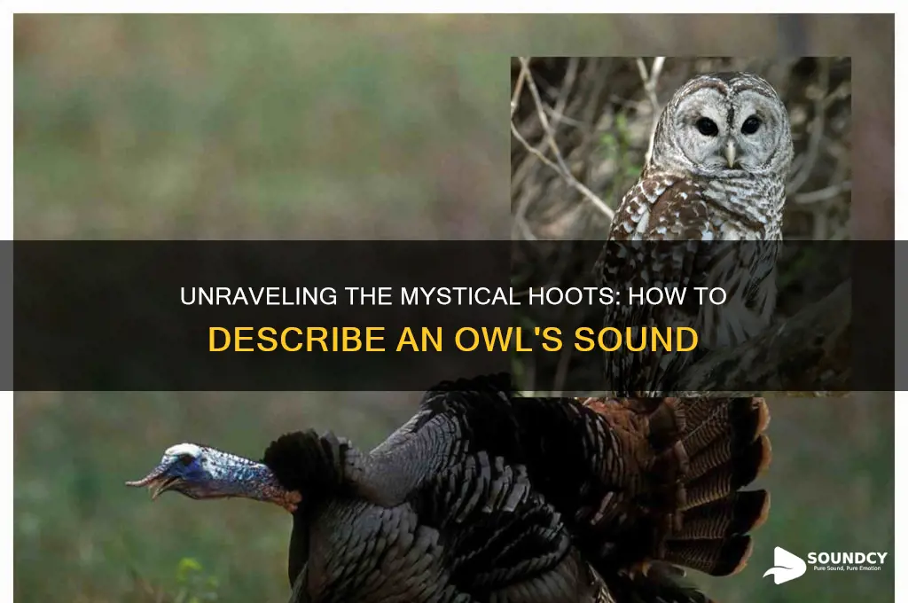 how to describe owl sound