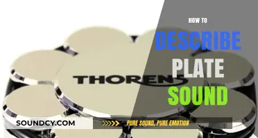Mastering Plate Sound: Techniques to Accurately Describe Its Unique Audio Qualities