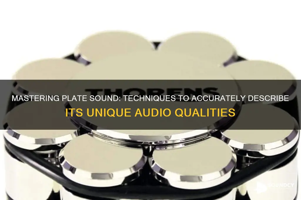 how to describe plate sound