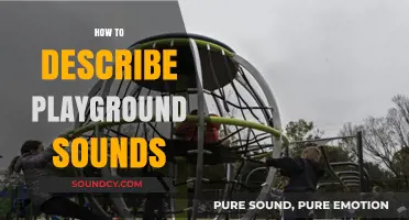 Capturing the Joyful Symphony: Describing the Vibrant Sounds of Playgrounds