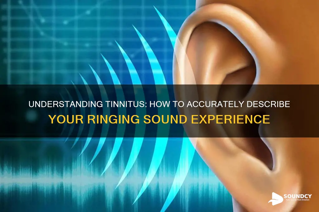 how to describe ringing sound