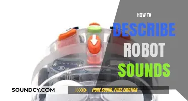 Decoding Robot Sounds: A Guide to Describing Mechanical Noises
