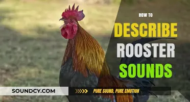 Mastering the Art of Describing Rooster Sounds: A Comprehensive Guide