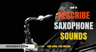 Mastering Saxophone Sound Descriptions: A Guide to Expressive Musical Language