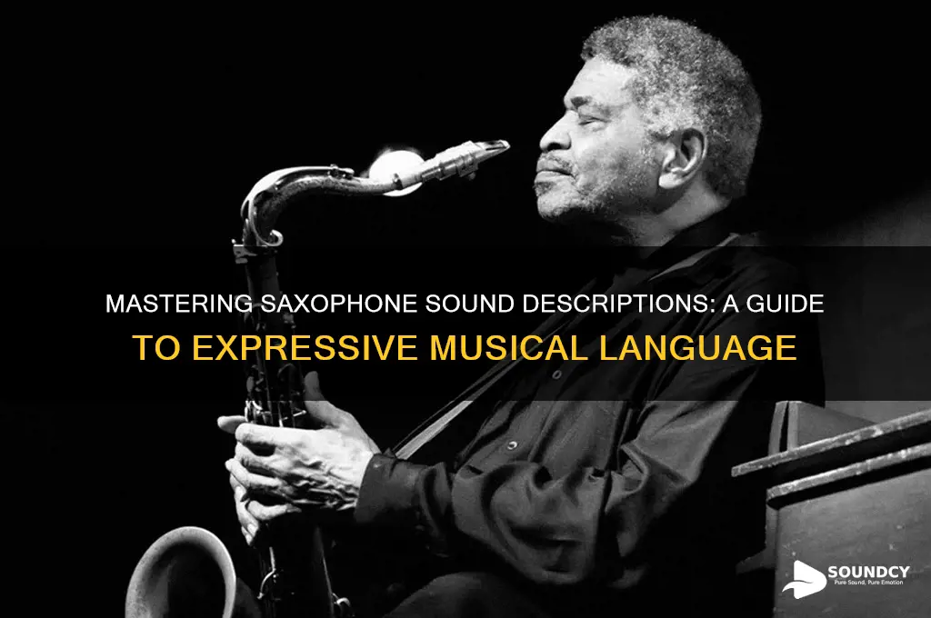 how to describe saxophone sounds