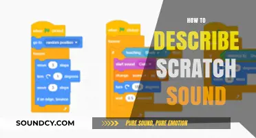 Mastering the Art of Describing Scratch Sounds: Tips and Techniques