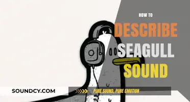 Mastering the Art of Describing the Unique Seagull Sound