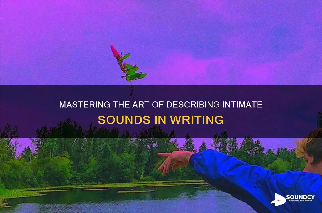 how to describe sex sounds