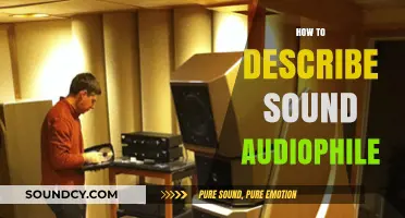 Mastering Audio Descriptions: A Guide for Discerning Audiophiles