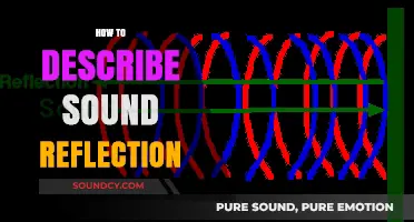 Understanding Sound Reflection: Techniques to Describe Echo and Reverberation