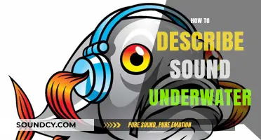 Exploring the Unique Acoustic World: Describing Sound Underwater
