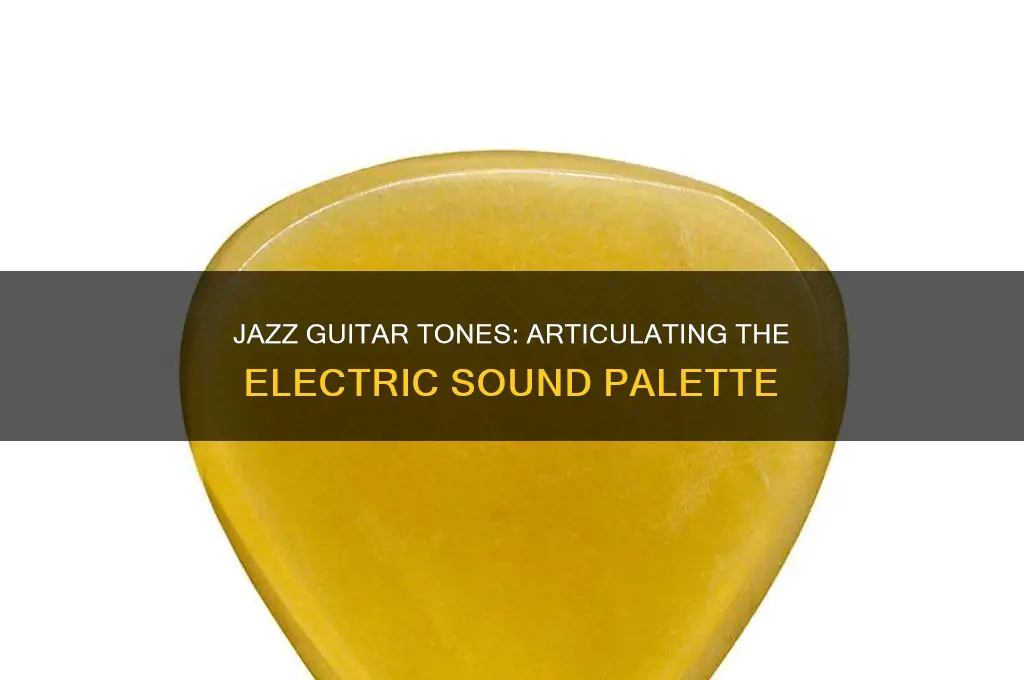 how to describe sounds of electric guitar in jaz