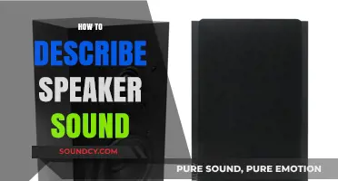 Mastering Audio Descriptions: A Guide to Articulating Speaker Sound Quality