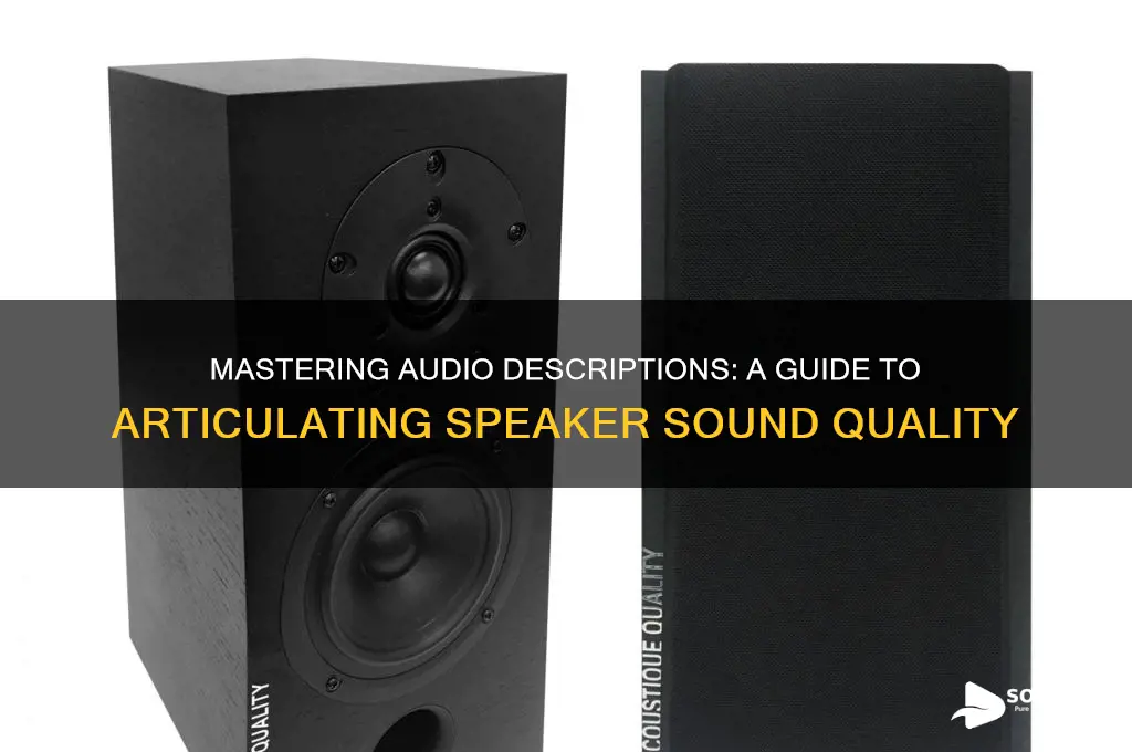 how to describe speaker sound