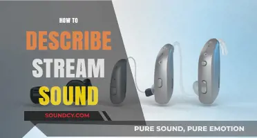 Capturing the Soothing Melody: Articulating the Serene Sound of Streams