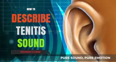 Understanding Tinnitus: How to Accurately Describe the Ringing Sound