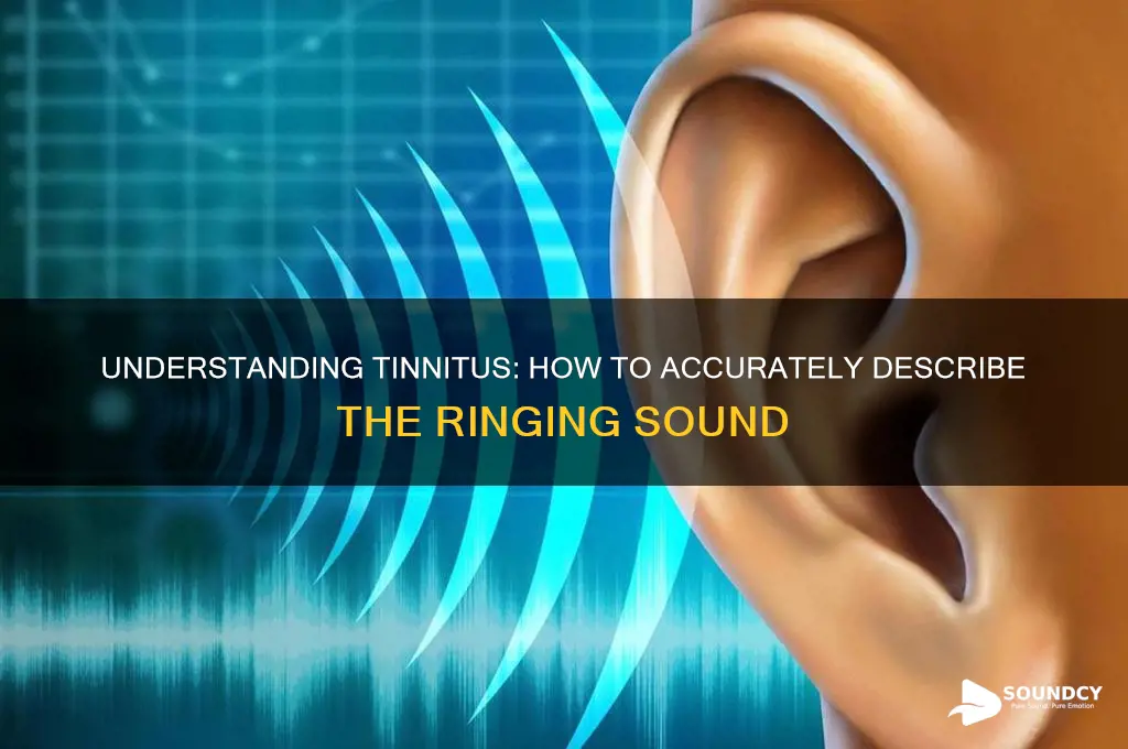how to describe tenitis sound