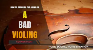 Mastering the Art of Describing a Bad Violin's Sound