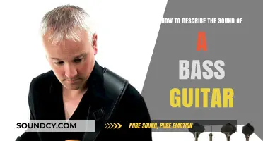 Mastering the Art of Describing a Bass Guitar's Unique Sonic Signature