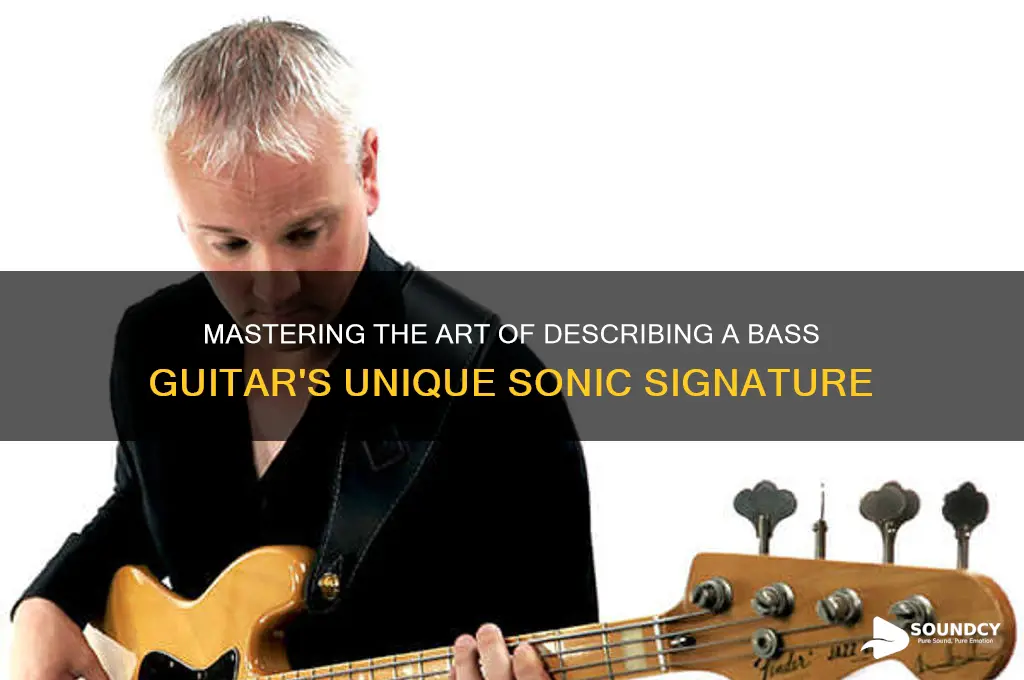 how to describe the sound of a bass guitar
