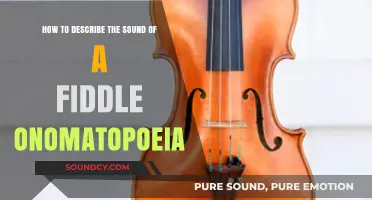 Fiddle's Whine and Hum: Crafting Onomatopoeic Descriptions for Its Sound