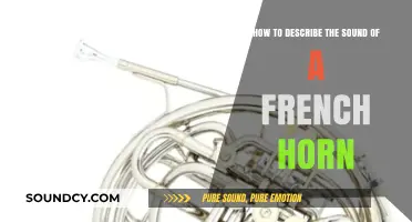 Capturing the Rich, Warm, and Majestic Sound of a French Horn
