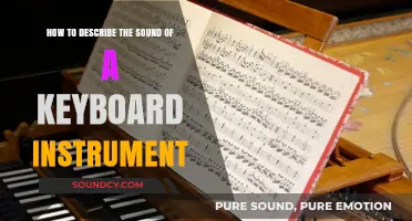 Mastering Musical Descriptions: Capturing the Unique Sound of Keyboard Instruments